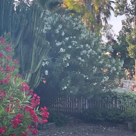 La Perla Di Ponente דירה אוספדלטי