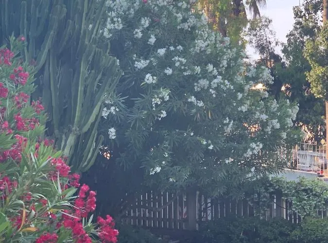 La Perla Di Ponente Appartement Ospedaletti